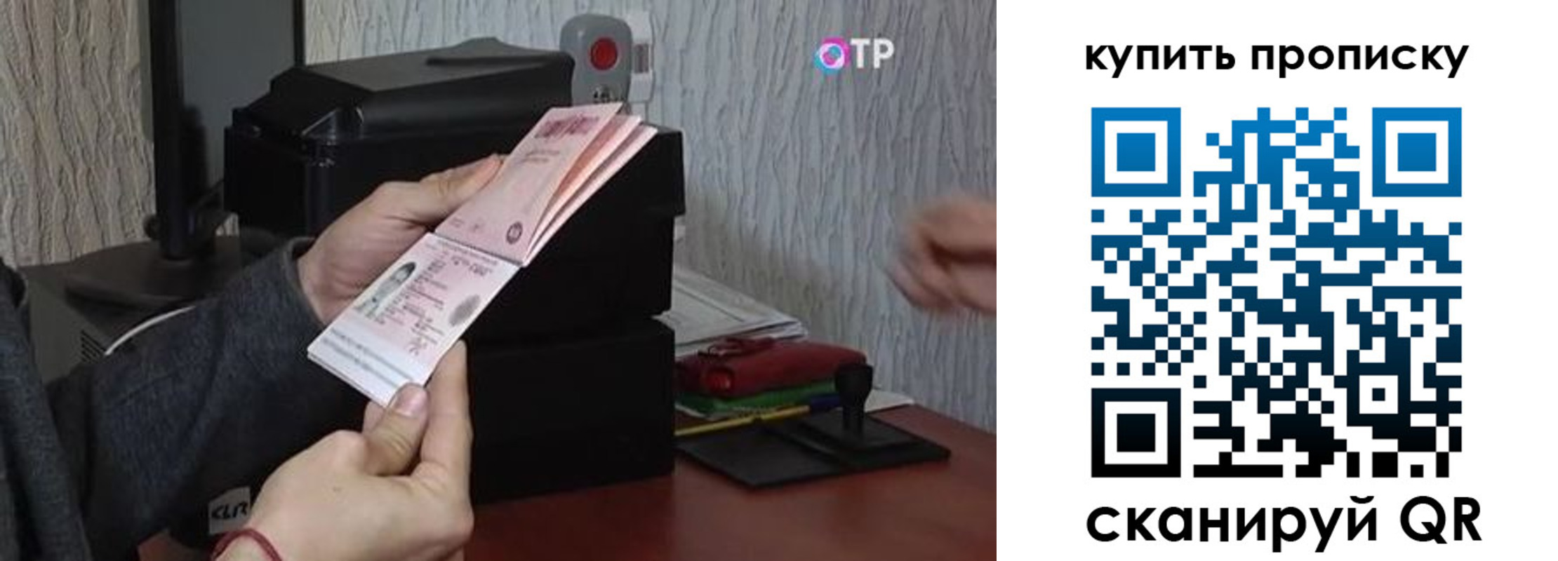 прописка гарантия в Ростове